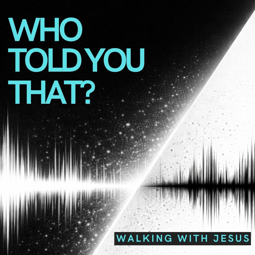 Who Told You That? episode artwork
